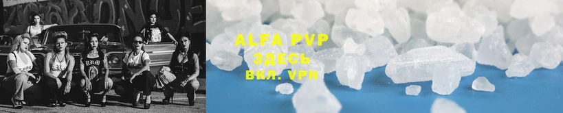 Alfa_PVP СК Западная Двина